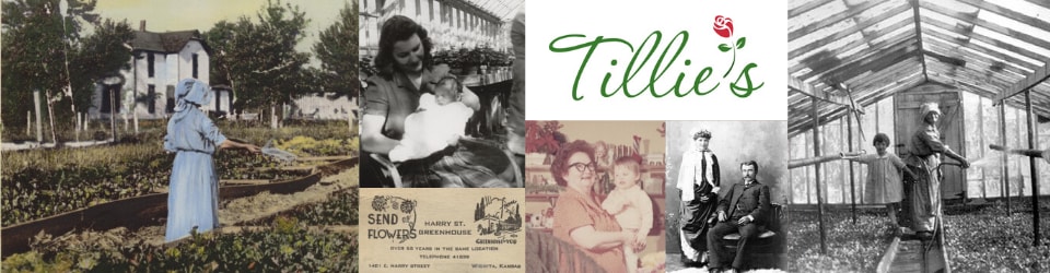 Beautiful Seasonal Flowers Banner